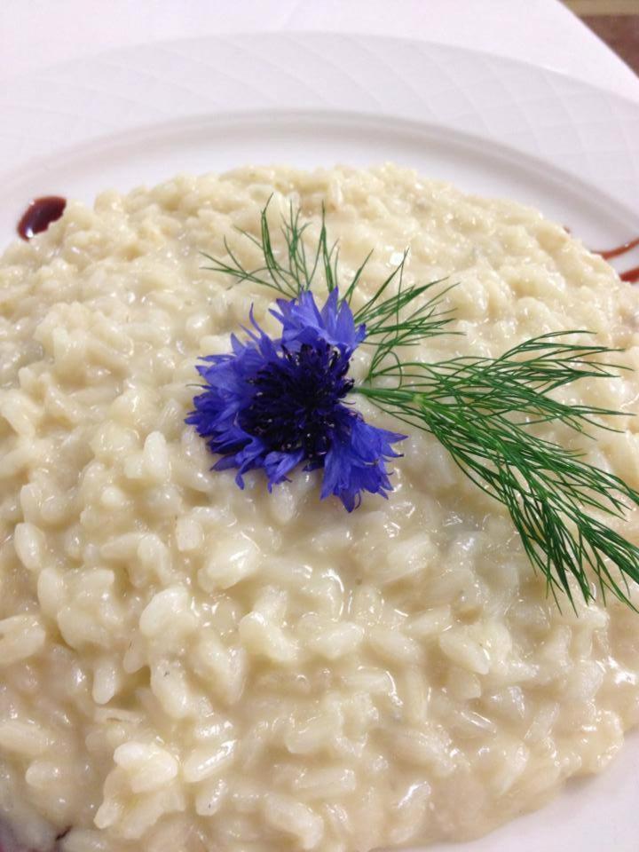 Hotel Conchiglia Cervia Dış mekan fotoğraf
