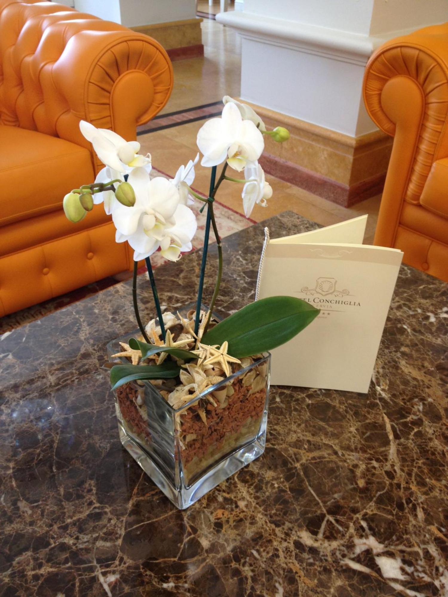 Hotel Conchiglia Cervia Dış mekan fotoğraf
